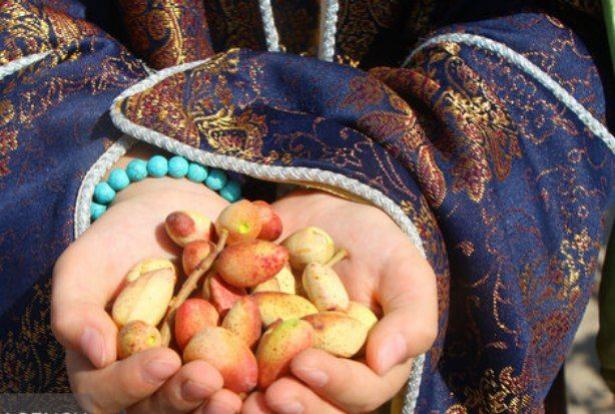  جشنواره پسته پربار تر از همیشه/ سفرای خارجی در دامغان هستند