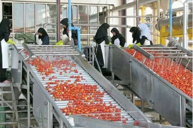 پرداخت هزار و ۸۰ میلیارد ریال برای ۱۶ طرح صنایع تبدیلی آذربایجان شرقی