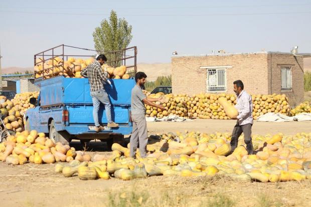درگیری خانوادگی در یکی از روستاهای خوی با ۳ فوتی و یک مجروح