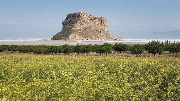 آذربایجان شرقی ۹۹درصد از الگوی کشت را اجرایی کرده است