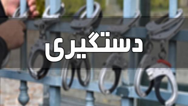 منیره شکوهی