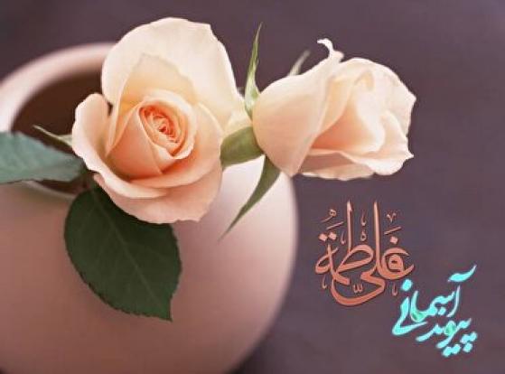 اجرای طرح ملی پیوند آسمانی در آذربایجان شرقی