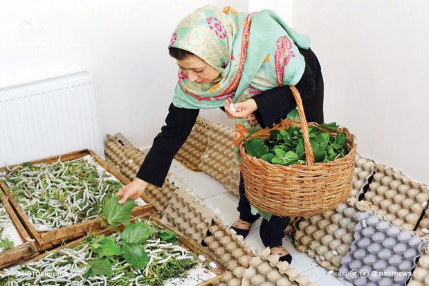 سبد معیشت در طوفان؛ راهنمای مدیریت هوشمند خانوار در شرایط جنگی