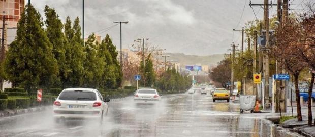 مدیر‌کل بهزیستی گفت: این اداره کل نزدیک به ۷۰۰ خانواده دارای فرزندان چند قلو را تحت پوشش دارد که از مجموع این خانواده‌ها۶۳۳ خانوار دارای فرزند دوقلو و ۴۴ خانوار دارای فرزند سه قلو و بیشتر هستند.