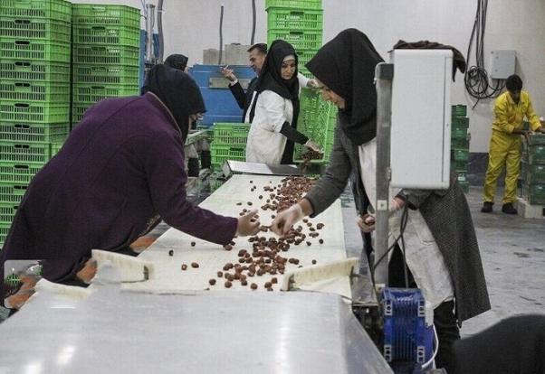 بخش تعاون در ایران، با وجود جایگاه قانونی و ظرفیت‌های بالقوه در قانون اساسی، با چالش‌های ساختاری و فرهنگی عمیقی روبه‌رو بوده که مانع تحقق سهم آن در اقتصاد ملی شده است.