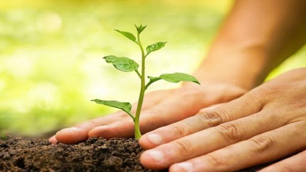 مدارس آذربایجان شرقی سبز می‌ شوند