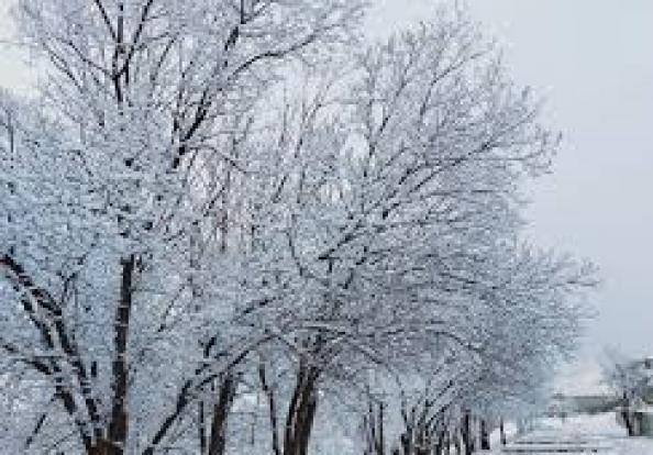 تاثیر رژیم غذایی کودک در کاهش خطر ابتلا به کولیت روده