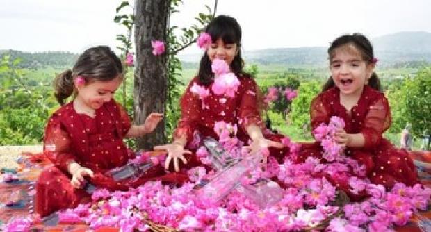  مدیرکل میراث‌فرهنگی، گردشگری و صنایع‌دستی کردستان گفت: سومین جشنواره گلاب‌گیری روستای شرگه شهرستان بانه با هدف معرفی ظرفیت‌های گردشگری کشاورزی و حمایت از تولیدات محلی برگزار خواهد شد.