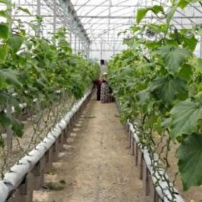 افتتاح ۲۰۵ طرح کارآفرینی در آذربایجان شرقی