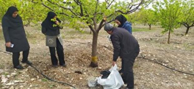 تعهد کشت قراردادی تعاون روستایی آذربایجان شرقی ۱۰۰ درصد محقق شود