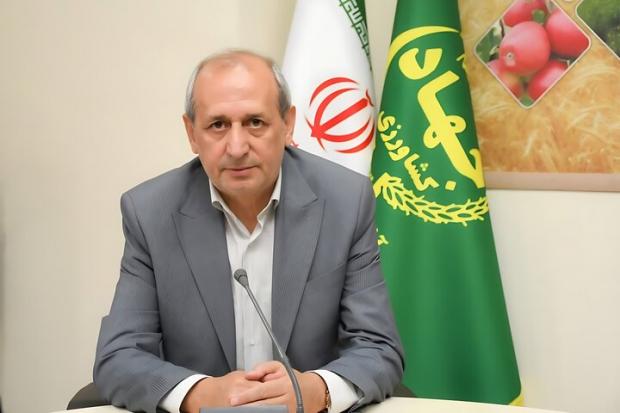 آذربایجان‌شرقی رتبه اول فرآوری و صادرات خرما در کشور را دارد